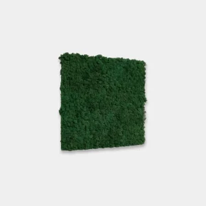 Akupixel | Moss / Moss Green, 60 x 60 cm